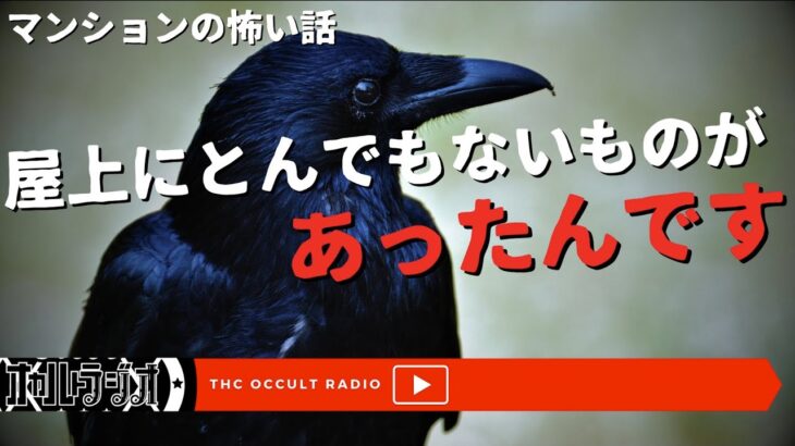 屋上にとんでもないものがあったんです！「カラスが集まるマンション」「ベランダ越し」不思議な話・人怖を朗読・考察 THCオカルトラジオ