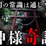 神様奇談 【黒木あるじ×中山市朗②】東北・屋敷神の正体／高野山で目撃した神の遣い／東北と関西の神様の違い