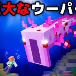 海の恐ろしいマイクラ都市伝説を検証する【まいくら・マインクラフト】