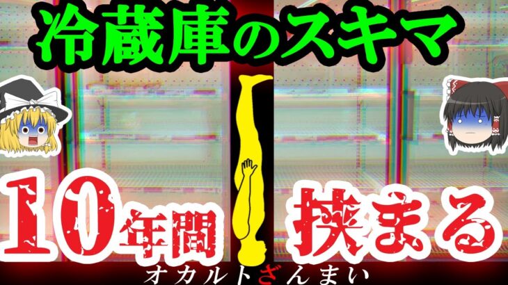 【なぜ?】10年前失踪した男性がスーパーの冷蔵庫裏からミイラとなって見つかる…とんでもない場所から発見された人々3選【ゆっくり解説】