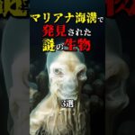 マリアナ海溝で発見された謎の生物3選 #都市伝説 #雑学 #怖い話 #shorts