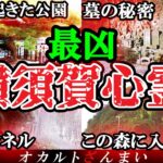 【※神奈川※】横須賀最恐の心霊スポット4選!●●公園で起きた「怖い事件」とは…【ゆっくり解説】