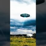 2024年 Mysterious UFO Surprises Airport! ✈️ #shorts #UFO #lab360