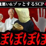 【ゾッとする】胸糞悪い&怖いSCP4選【ゆっくり解説】