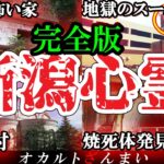 【総集編】新潟最恐の心霊スポット13選!恐怖の廃墟やスーパーの裏側を一挙公開!【ゆっくり解説】