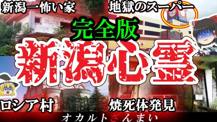 【総集編】新潟最恐の心霊スポット13選!恐怖の廃墟やスーパーの裏側を一挙公開!【ゆっくり解説】