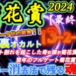 【データ消去法・オカルト】菊花賞 2024 予想 〜40年間のデータを総出力してのスーパー消去データで残ったのは５頭！〝菊花賞の裏オカルト闇の法則〟最強鉄板黄金データ［3-2-1-0］！【最終結論】