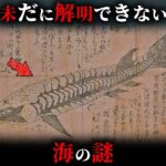 【未解明】2024年になったのに解明できていない海の謎4選がヤバすぎる…。【 ミステリー 都市伝説 未解決問題 】