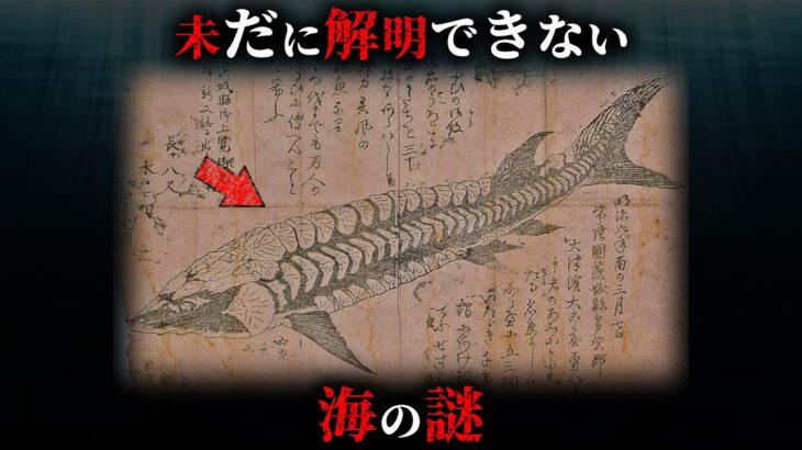 【未解明】2024年になったのに解明できていない海の謎4選がヤバすぎる…。【 ミステリー 都市伝説 未解決問題 】