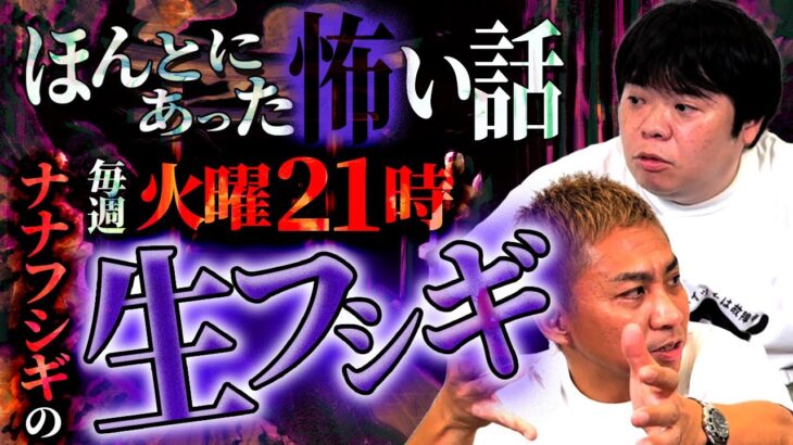 ※オカルト界激震※幽霊の寿命400年説ついに解明！関ヶ原の武者はもういない•••？【ナナフシギ】【怖い話】