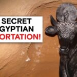 2024年 Ancient Aliens: Egyptian Coffins Used for SPACE TRAVEL?! (Season 20)