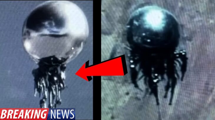 2024年 JUST IN! CLEAREST JELLY FISH UFO VIDEO EVER?! 2024