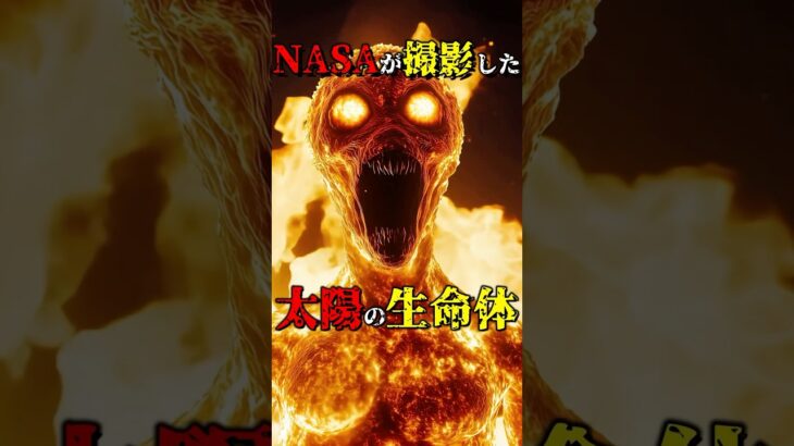 NASAが撮影した太陽の生命体の映像 #都市伝説 #雑学 #怖い話 #shorts