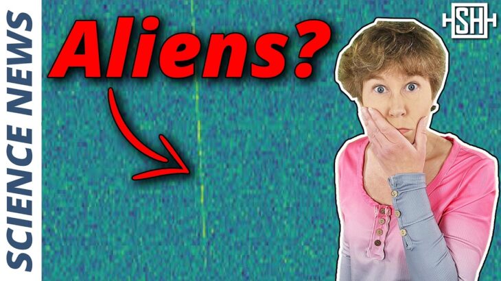 2024年 New Alien Signal Rumour — What’s Behind It?