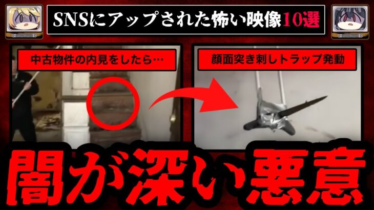 【闇が深い】SNSで見つかったヤバすぎる映像10選【ゆっくり解説】