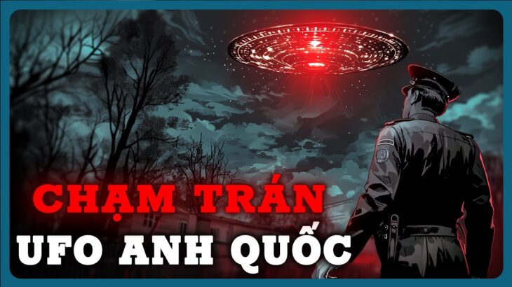 2024年 Sự Kiện UFO Rơi Tại Rừng Rendlesham Gây Chấn Động Nước Anh