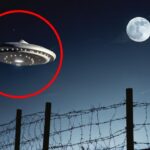 2024年 THIS IS the REAL Reason We Haven’t Met Aliens Yet! NASA hiding evidence for years