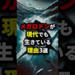 もしもメガロドンが現代に存在したらどうなる？　#都市伝説