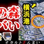 【※神奈川】横浜に伝わる『魔の森』の正体とは…横浜最恐の心霊スポット5選【ゆっくり解説】