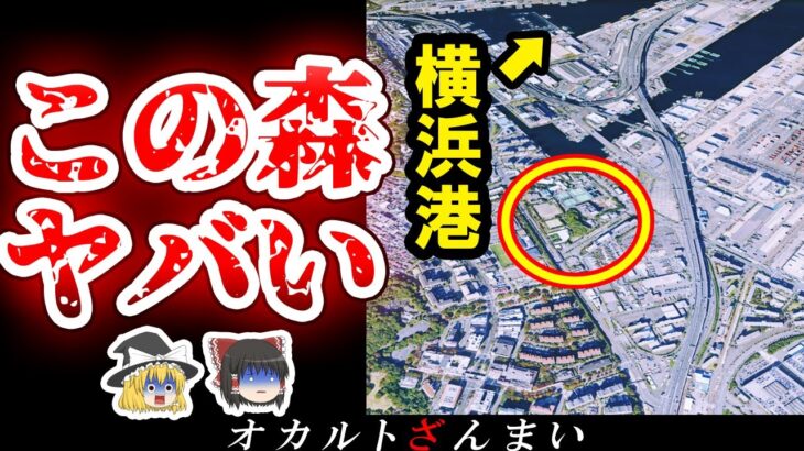 【※神奈川】横浜に伝わる『魔の森』の正体とは…横浜最恐の心霊スポット5選【ゆっくり解説】