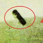 2024年 The Proof Is Out There: Strange Cigar-Shaped UFO SHOCKS Pilot (Season 4)