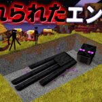 “忘れられたエンダー”の『マイクラ都市伝説』を検証した結果・・【まいくら,マインクラフト,解説,都市伝説】