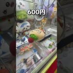 2024年 妹にお年玉10万円用意しました　#クレーンゲーム #ufoキャッチャー #ゲームセンター