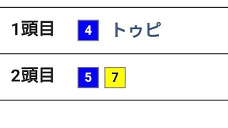 11/30　オカルト馬券を楽しむひにりん3（中京編）