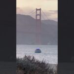 2024年 Greetings, earthlings? 🛸👽️ UFO-looking spotted in San Francisco Bay