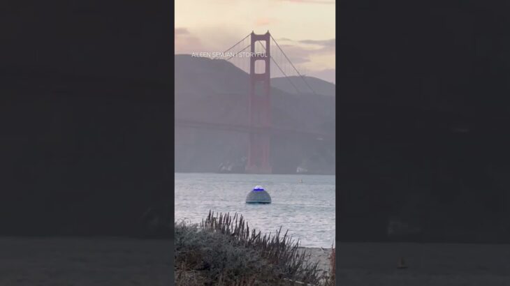 2024年 Greetings, earthlings? 🛸👽️ UFO-looking spotted in San Francisco Bay