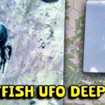 2024年 Mysterious Jellyfish UFO Sightings – What We’ve Learned