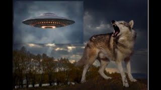 2024年 SHOCKING! Lone Wolf Goes Rogue On Recent Drone Plasmoid UFO And Alien Abduction Phenomenon!