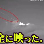 ありえないものが映ってしまいました。UFOと深い関係のある世界の巨木がヤバすぎる…【 都市伝説 世界樹 UFO 】