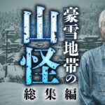 【総集編】何度聞いても面白い！真冬の山の不気味すぎる怪体験を田中康弘先生が語ります【山怪】