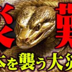 2025年巳年に起こる予兆。十二支最強の蛇に備えよ【 都市伝説 災害 予言 】