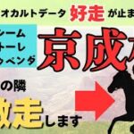 【京成杯2025】新年からオカルトデータの勢いが凄い！！あの馬の隣が好走する！？オカルトデータの秘密がここにはある！！