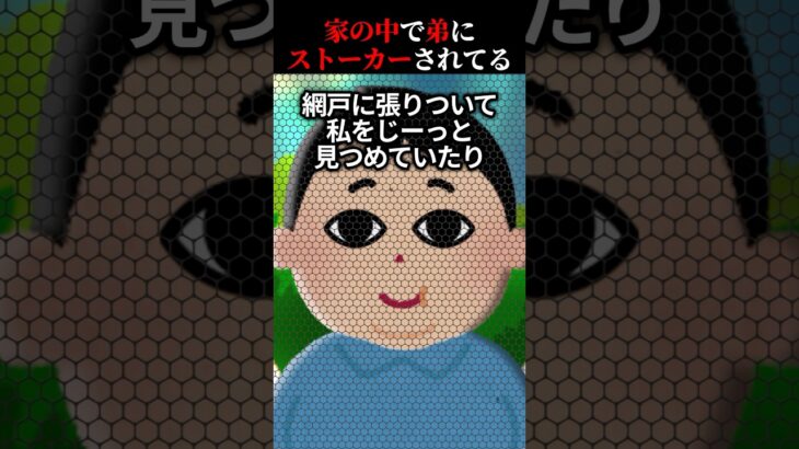 【ストーカー弟①姉視点】逃げられない恐怖！頭がおかしくなりそう【2ch怖い話】多視点動画プレイリストからお楽しみください！#ヒトコワ #ゆっくり解説 #オカルト #ホラー #姉目線