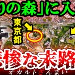 【※東京】『祟りの森』でふざけた不届き者の末路とは…多摩エリアに実在するいわくつきの心霊スポット3選【ゆっくり解説】