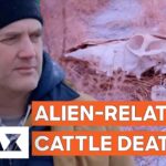 2024年 Mysterious Cattle Mutilations May Be Hiding An Alien Conspiracy! | UFO Witness