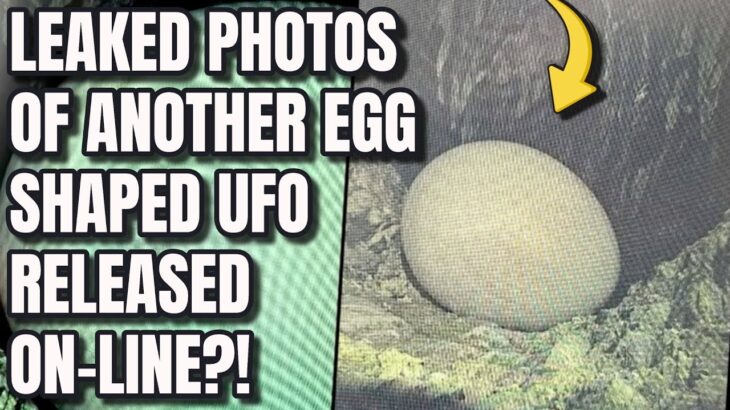 2024年 NEW EGG shaped UFO photos emerge on Reddit. Are these legit?!