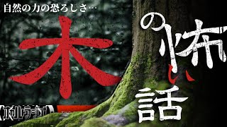 自然の力は恐ろしい…「木にまつわる怖い話」不思議な話・人怖を朗読・考察 THCオカルトラジオ