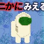 “ナニかにみえる島”の『マイクラ都市伝説』を検証した結果・・【まいくら,マインクラフト,解説,都市伝説】