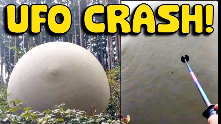 2024年 An Egg Shaped UFO JUST Crashed In Russia!