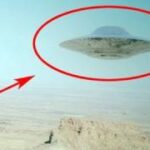 2024年 Real UFO Sighting!