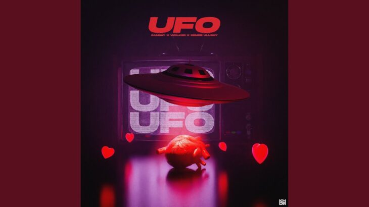 2024年 UFO