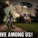 2024年 🔴LIVE | Shocking Alien Encounters proving that Aliens live among us! Indisputable Proof