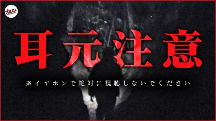 【心霊】今の声誰だ…！？地元の方が教えてくれた本当の怖い場所！【鹿児島心霊】【ぷち掃除】