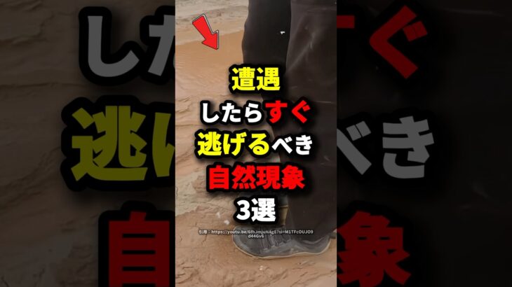 【すぐ逃げろ】遭遇したらすぐ逃げるべき自然現象3選　#都市伝説