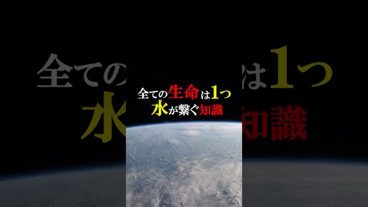 水が繋ぐ知識 #水の記憶 #都市伝説 #オカルト #雑学 #Shorts