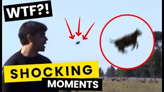 2024年 THESE UFO Clips Fans Sent Me Are Actually INSANE! (2025 Sightings)